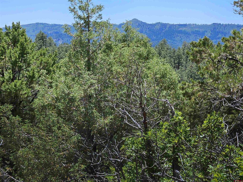 73 Wayne's Court Pagosa Springs CO 81147