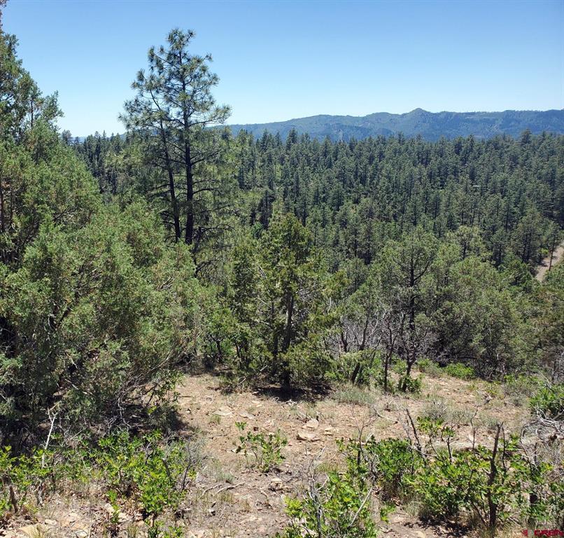 73 Wayne's Court Pagosa Springs CO 81147