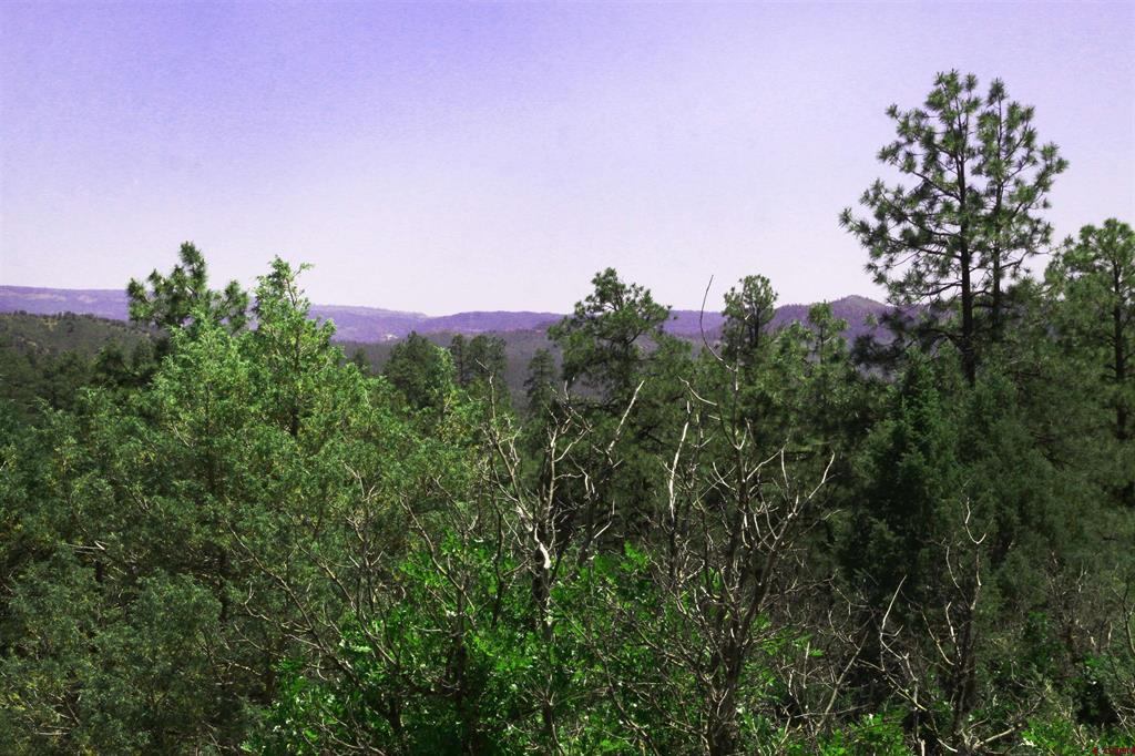 73 Wayne's Court Pagosa Springs CO 81147