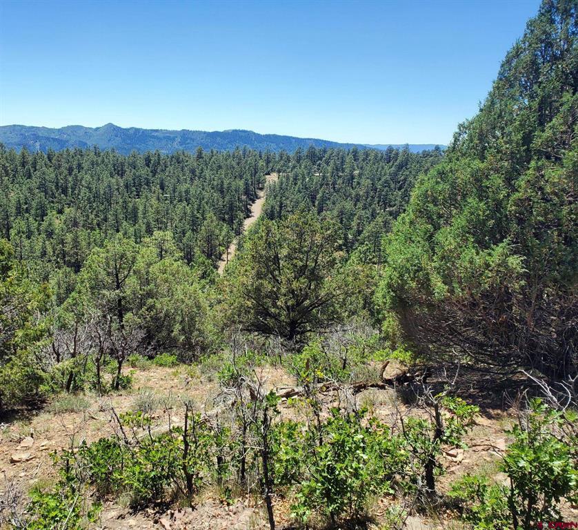 73 Wayne's Court Pagosa Springs CO 81147