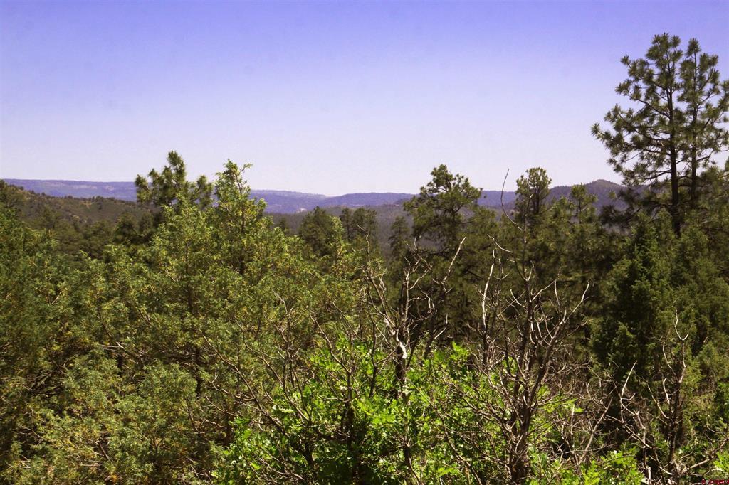 73 Wayne's Court Pagosa Springs CO 81147