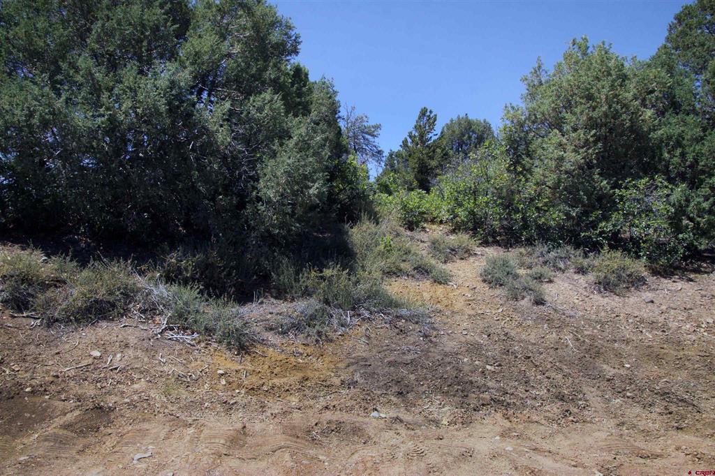 73 Wayne's Court Pagosa Springs CO 81147