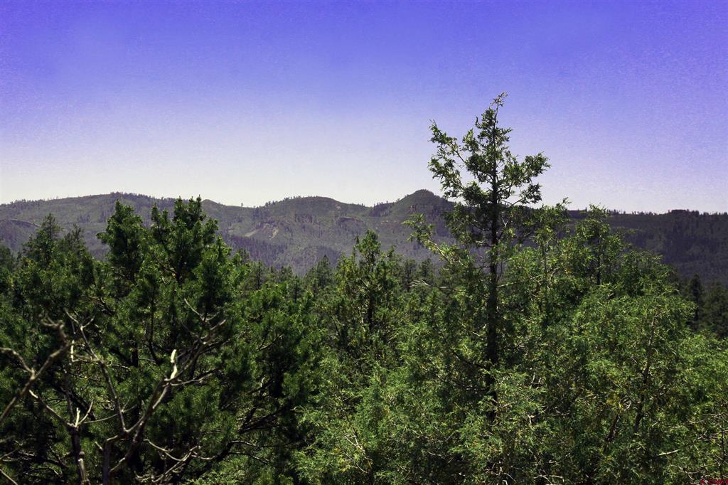 73 Wayne's Court Pagosa Springs CO 81147