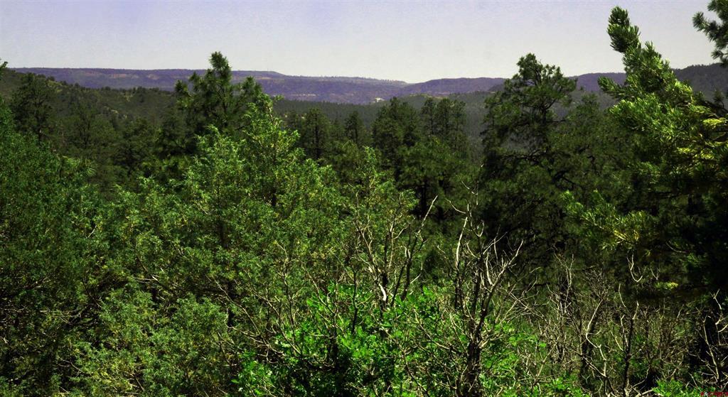 73 Wayne's Court Pagosa Springs CO 81147