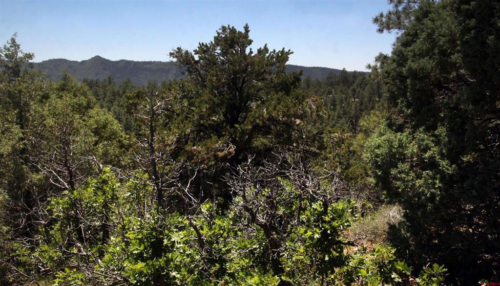73 Wayne's Court Pagosa Springs CO 81147