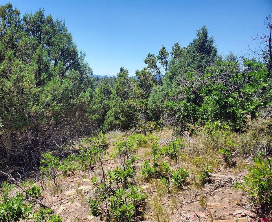 73 Wayne's Court Pagosa Springs CO 81147