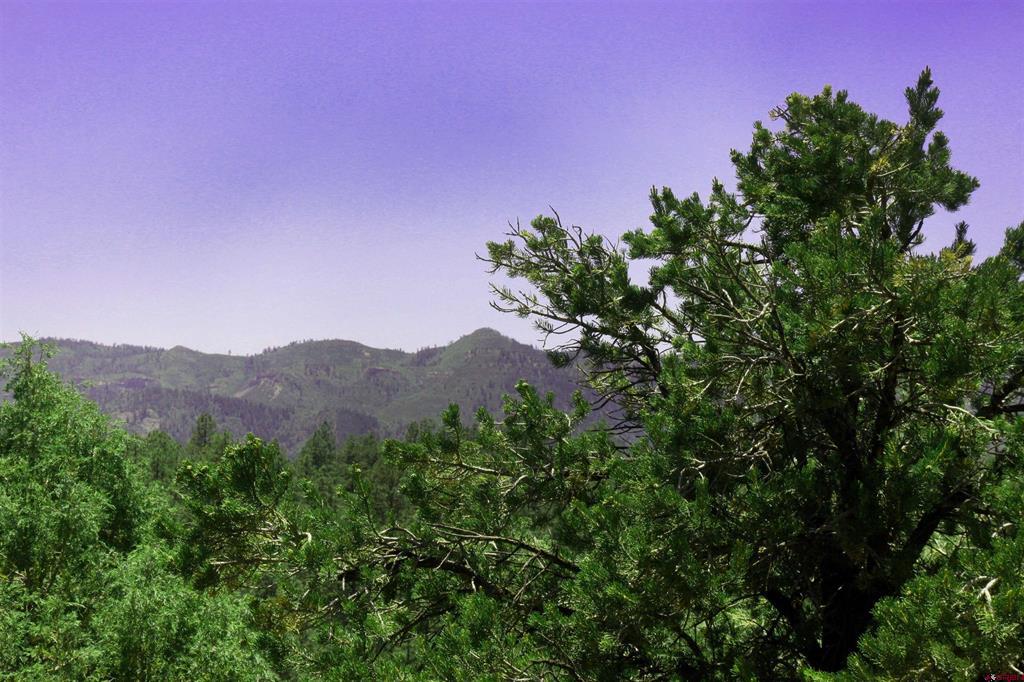 73 Wayne's Court Pagosa Springs CO 81147