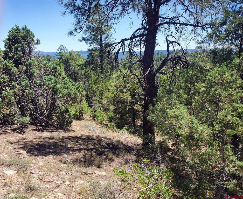 73 Wayne's Court Pagosa Springs CO 81147