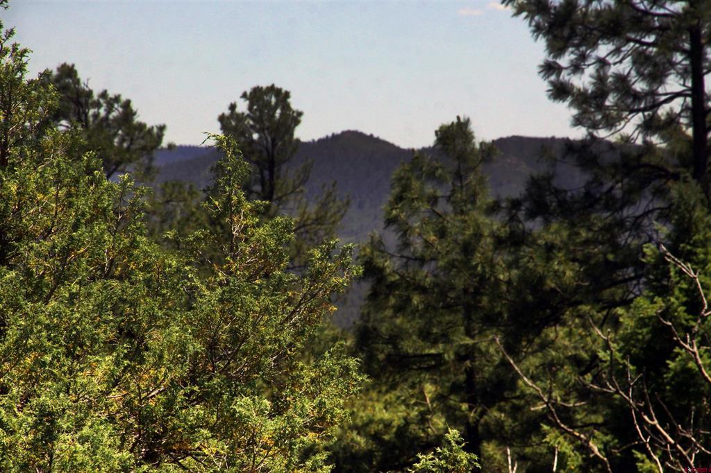 73 Wayne's Court Pagosa Springs CO 81147