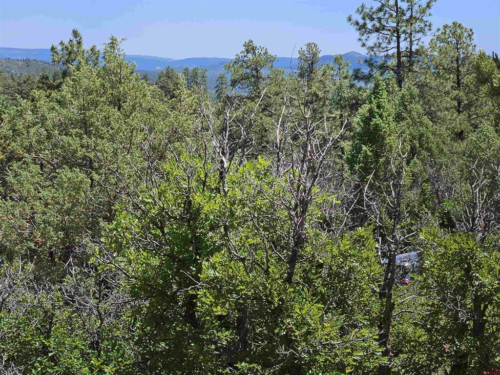 73 Wayne's Court Pagosa Springs CO 81147