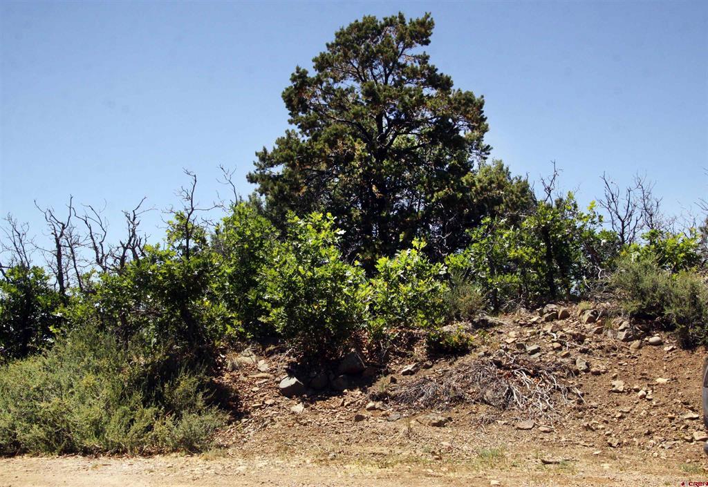 73 Wayne's Court Pagosa Springs CO 81147
