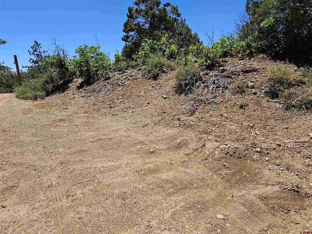 73 Wayne's Court Pagosa Springs CO 81147