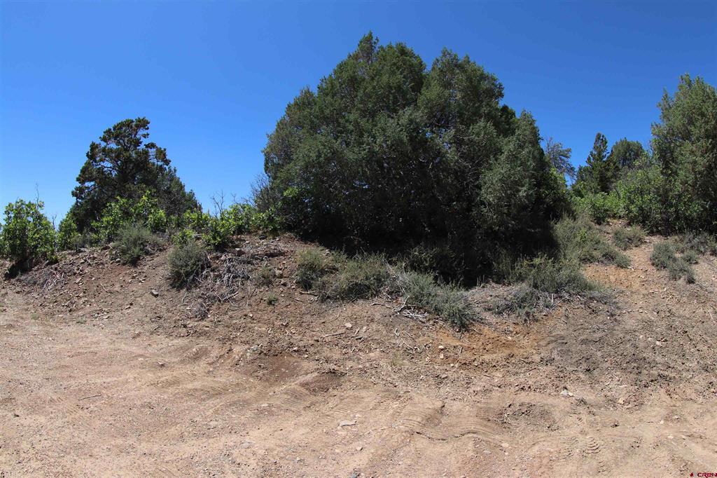 73 Wayne's Court Pagosa Springs CO 81147