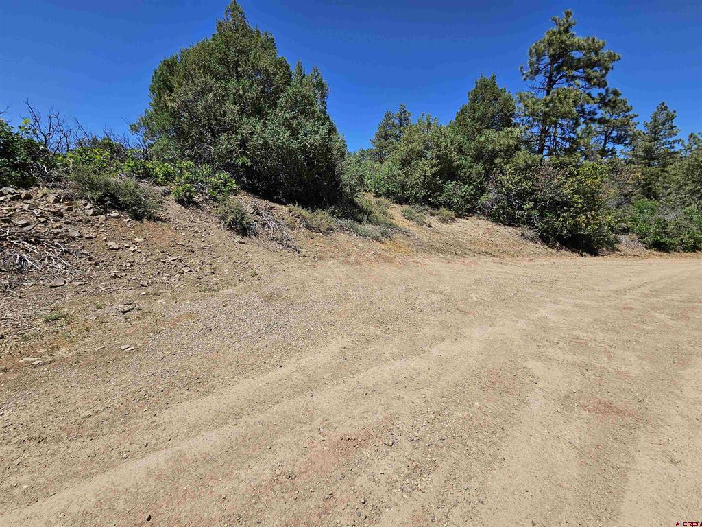 73 Wayne's Court Pagosa Springs CO 81147