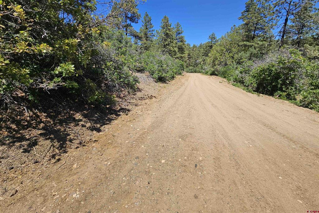 73 Wayne's Court Pagosa Springs CO 81147