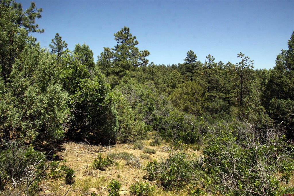 73 Wayne's Court Pagosa Springs CO 81147
