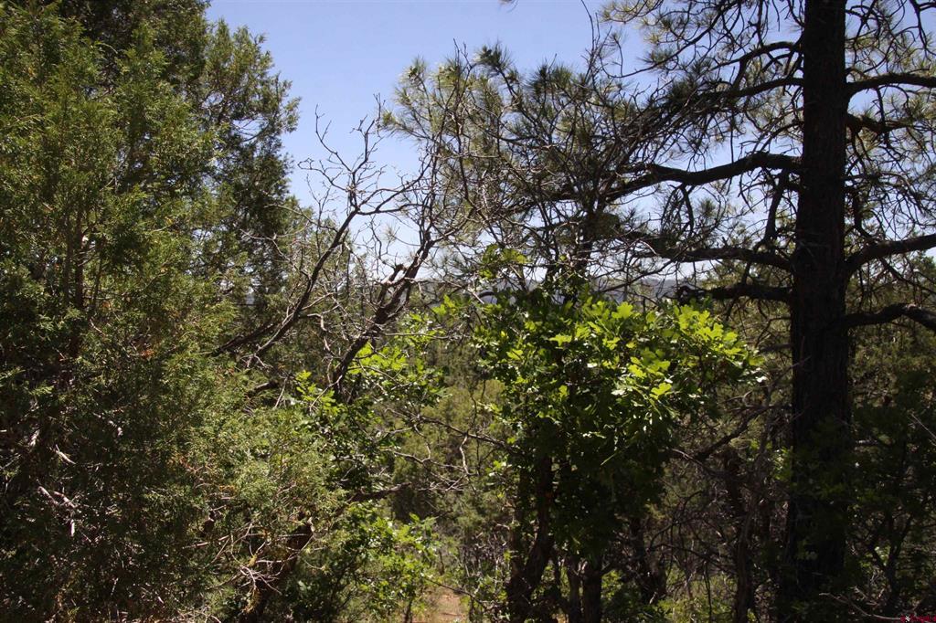 73 Wayne's Court Pagosa Springs CO 81147