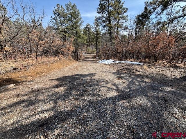 2308 Bull Elk Place Pagosa Springs CO 81147