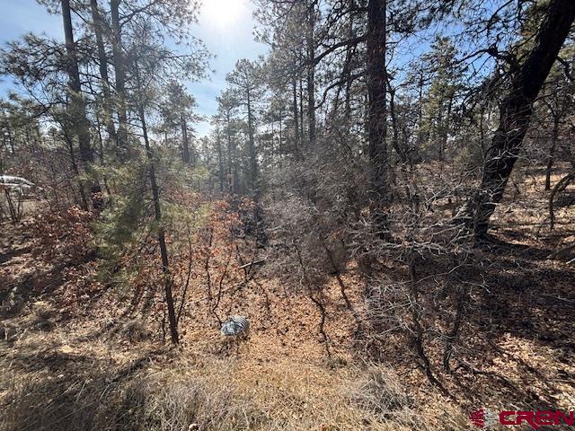 2308 Bull Elk Place Pagosa Springs CO 81147
