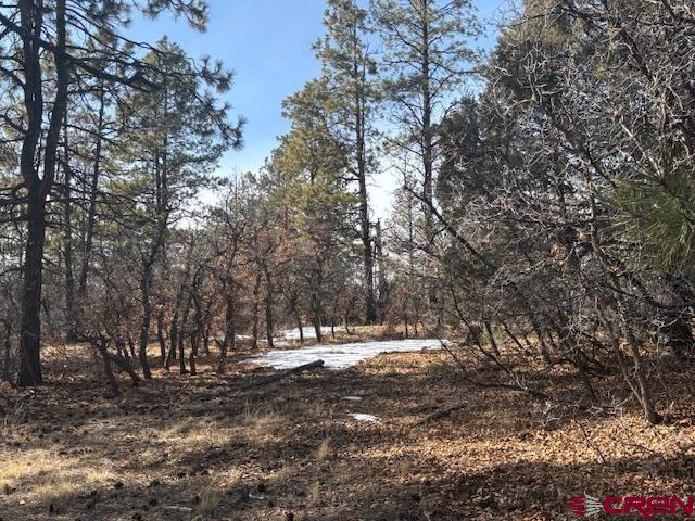 2308 Bull Elk Place Pagosa Springs CO 81147