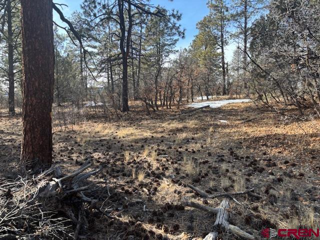 2308 Bull Elk Place Pagosa Springs CO 81147