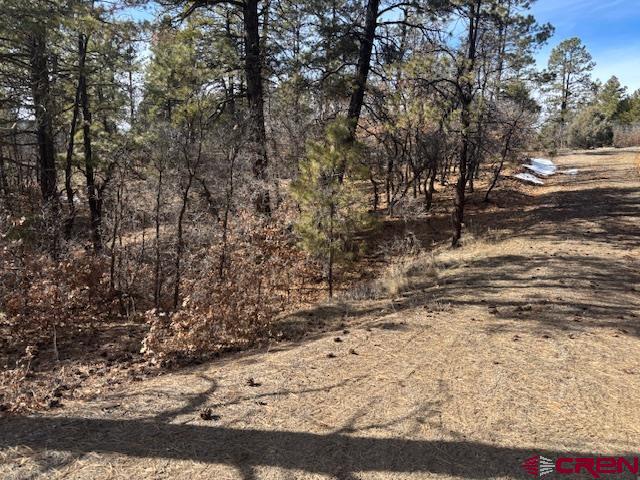 2308 Bull Elk Place Pagosa Springs CO 81147