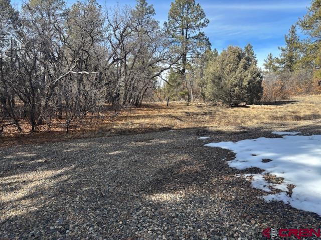 2308 Bull Elk Place Pagosa Springs CO 81147