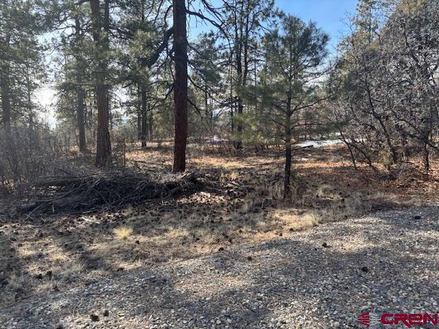 2308 Bull Elk Place Pagosa Springs CO 81147