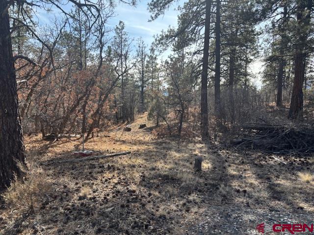 2308 Bull Elk Place Pagosa Springs CO 81147
