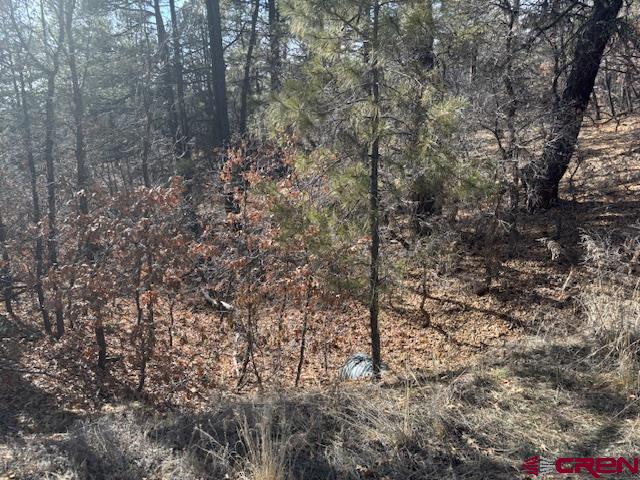 2308 Bull Elk Place Pagosa Springs CO 81147