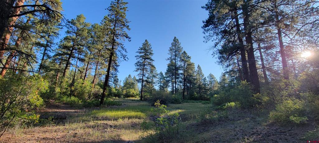 Lot 5 Beaver Creek Ranch Drive Bayfield CO 81122