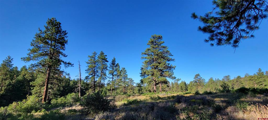 Lot 5 Beaver Creek Ranch Drive Bayfield CO 81122