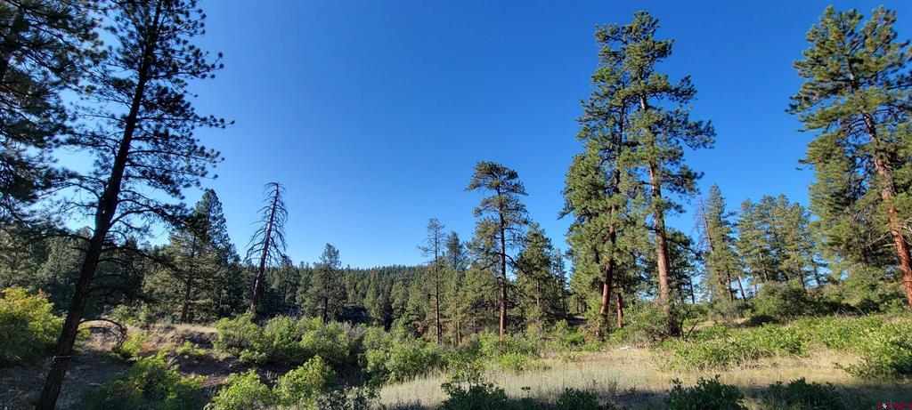 Lot 5 Beaver Creek Ranch Drive Bayfield CO 81122