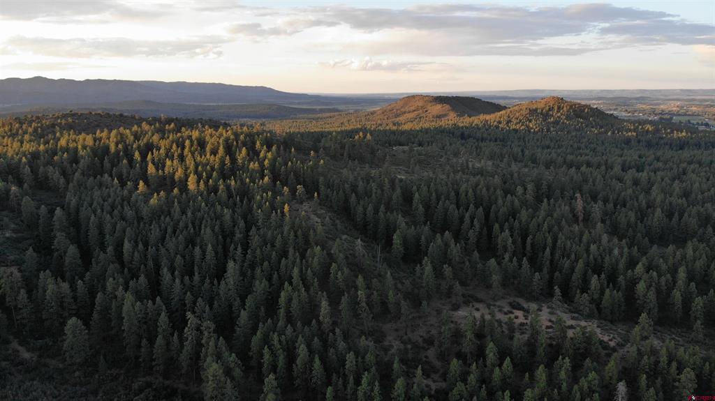 Lot 5 Beaver Creek Ranch Drive Bayfield CO 81122