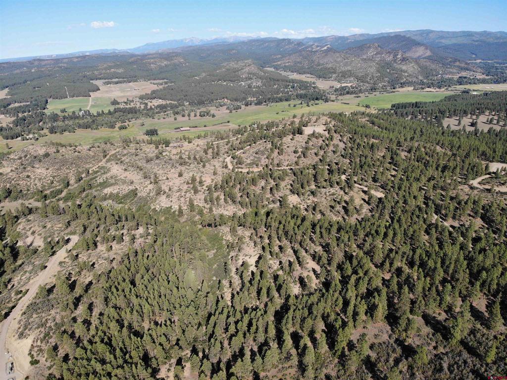 Lot 5 Beaver Creek Ranch Drive Bayfield CO 81122