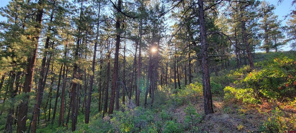Lot 5 Beaver Creek Ranch Drive Bayfield CO 81122