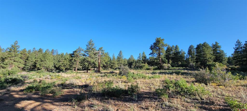 Lot 5 Beaver Creek Ranch Drive Bayfield CO 81122