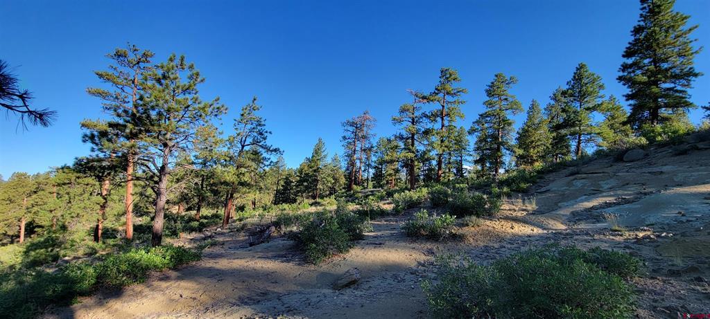 Lot 5 Beaver Creek Ranch Drive Bayfield CO 81122