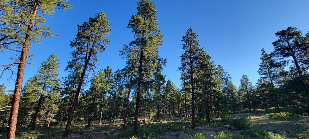 Lot 5 Beaver Creek Ranch Drive Bayfield CO 81122