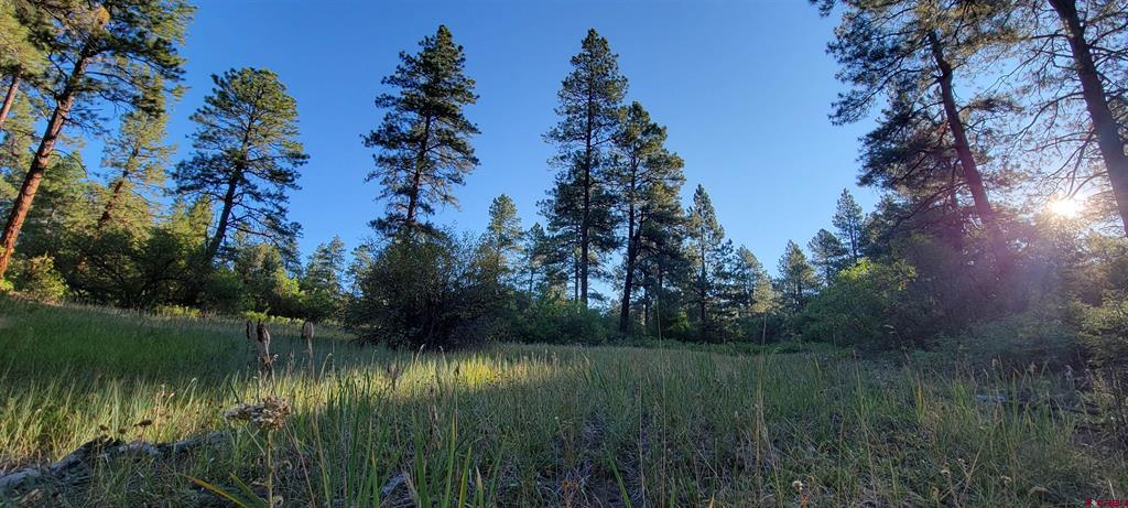 Lot 5 Beaver Creek Ranch Drive Bayfield CO 81122
