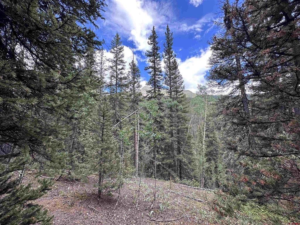 Lot 3 Overland Estates, Cr 110 Silverton CO 81433