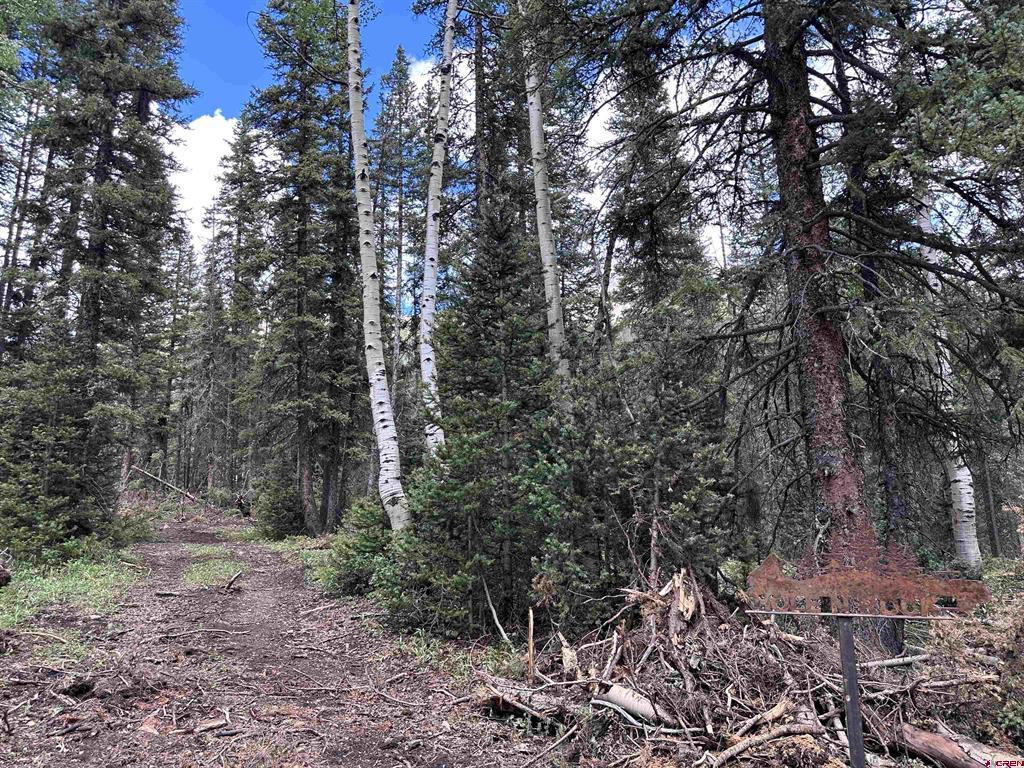 Lot 3 Overland Estates, Cr 110 Silverton CO 81433