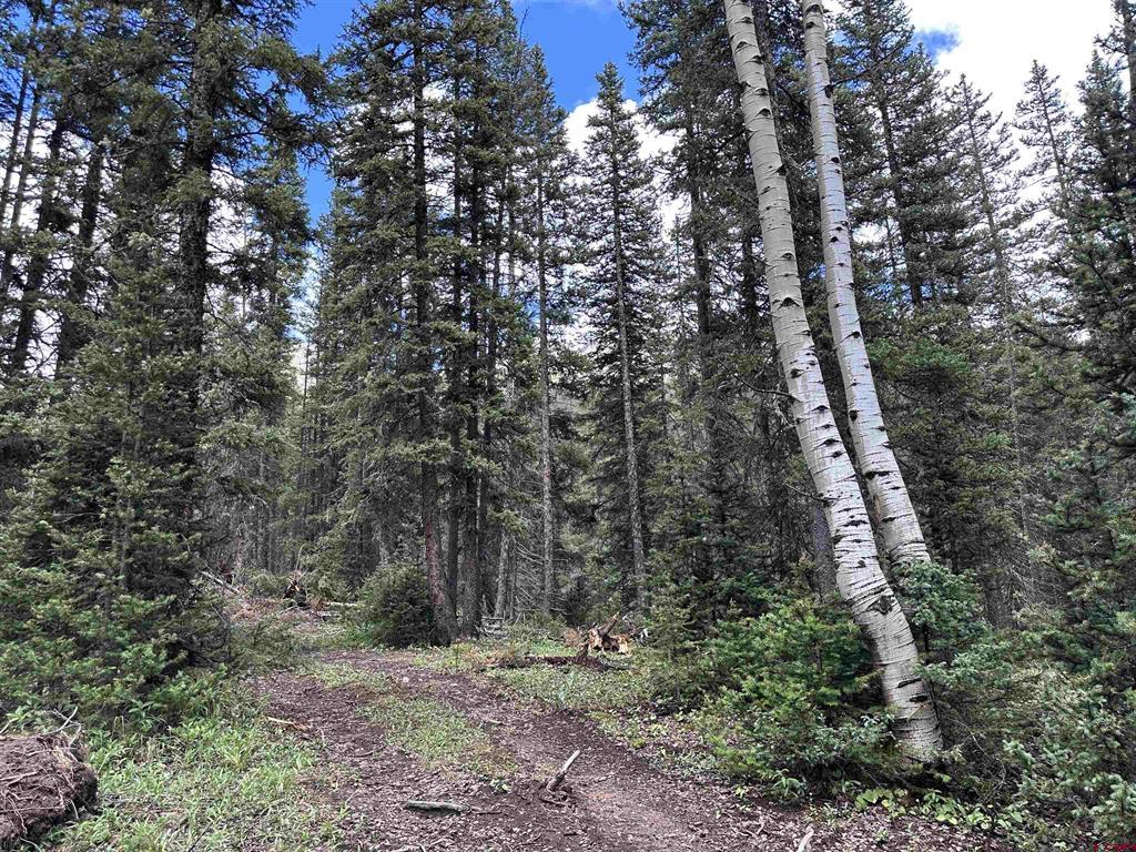Lot 3 Overland Estates, Cr 110 Silverton CO 81433