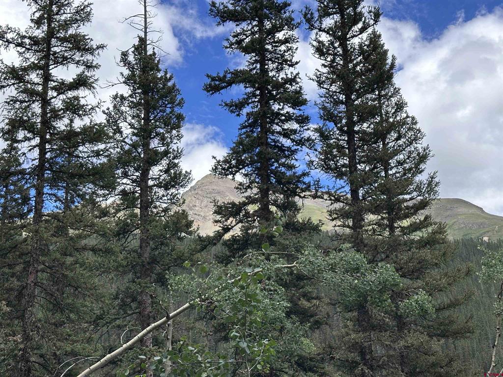 Lot 3 Overland Estates, Cr 110 Silverton CO 81433