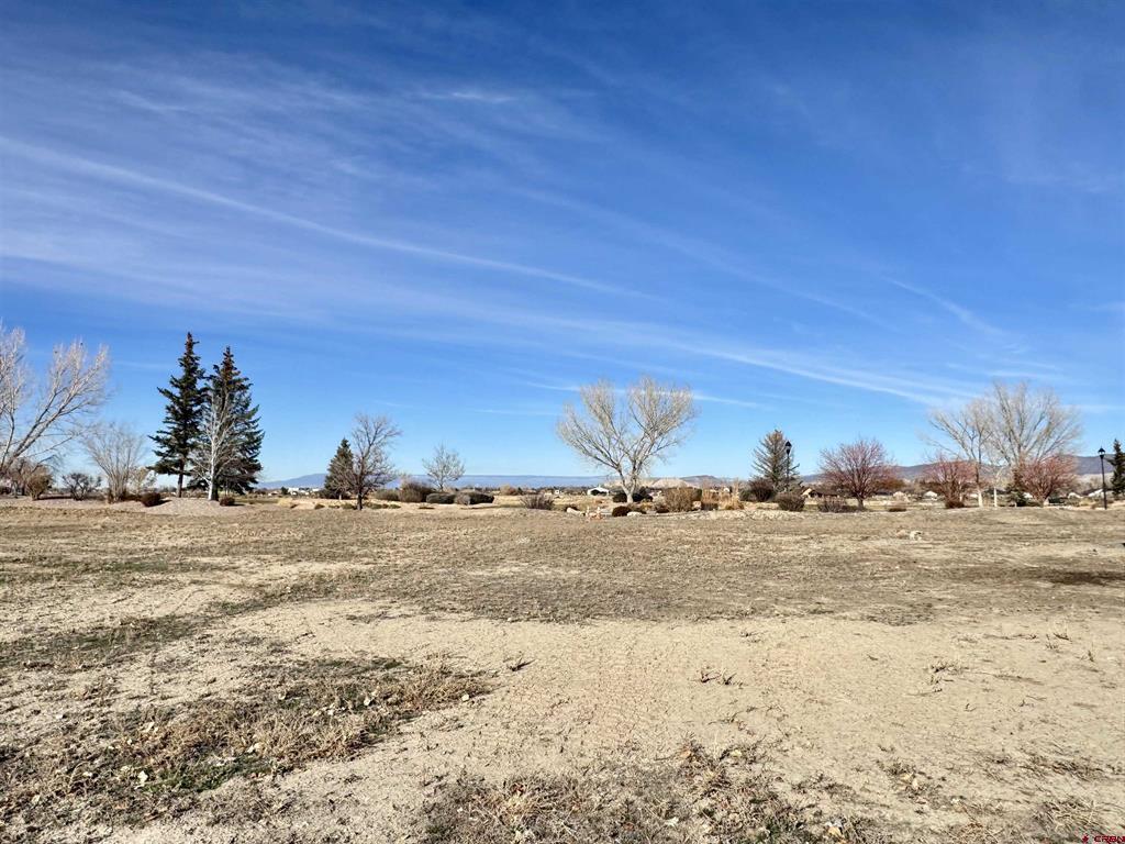 Lot 1102 Bridges Loop Montrose CO 81401