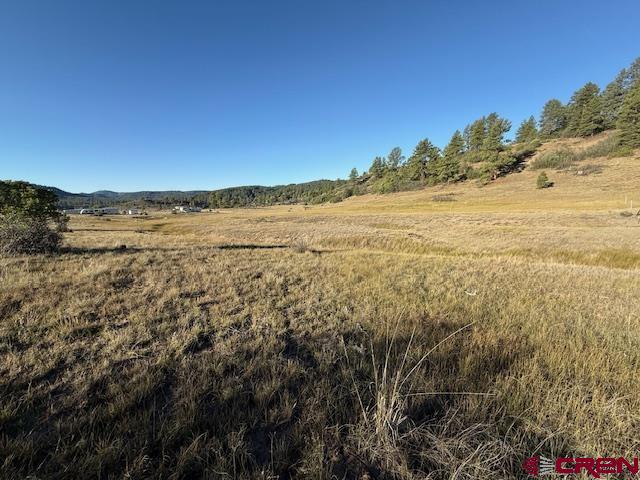 980 Catchpole Drive Pagosa Springs CO 81147