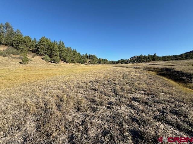 980 Catchpole Drive Pagosa Springs CO 81147