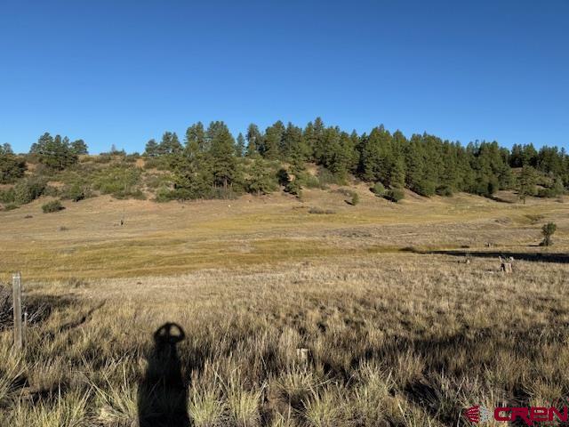 980 Catchpole Drive Pagosa Springs CO 81147