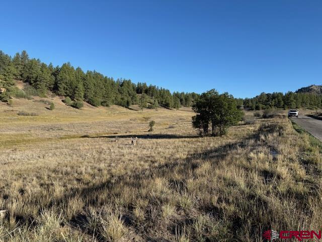 980 Catchpole Drive Pagosa Springs CO 81147