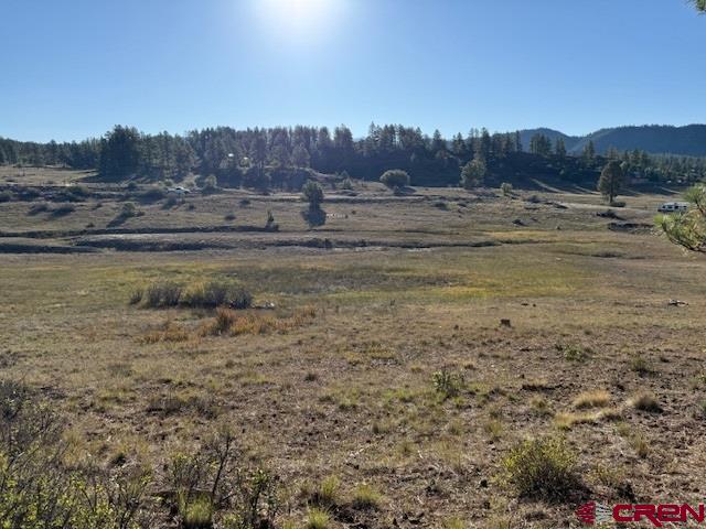 980 Catchpole Drive Pagosa Springs CO 81147